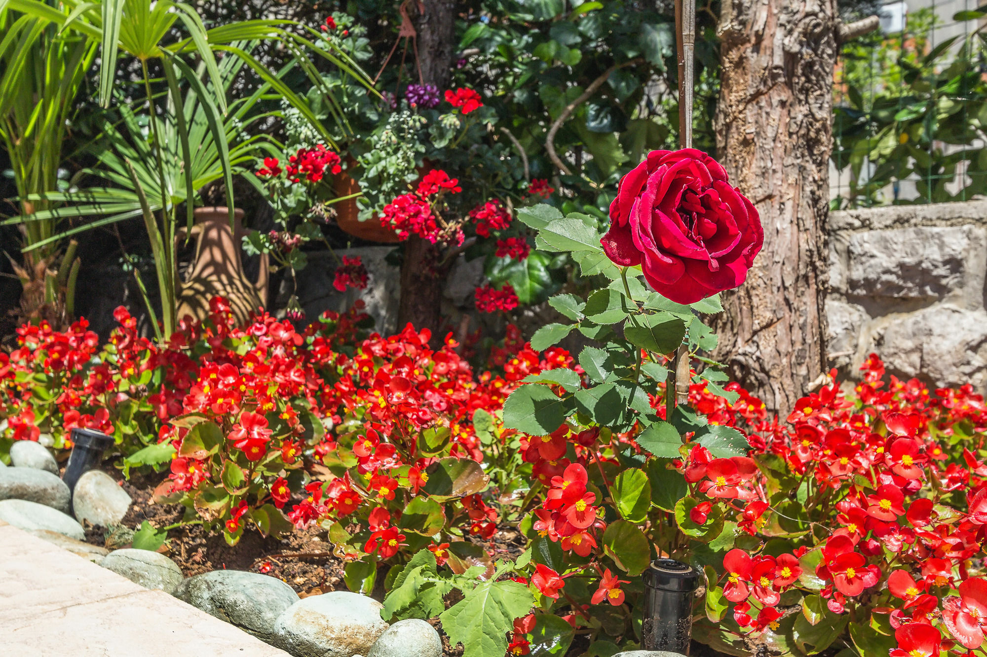 Villa Roses Apartments&Wellness Ičići Esterno foto